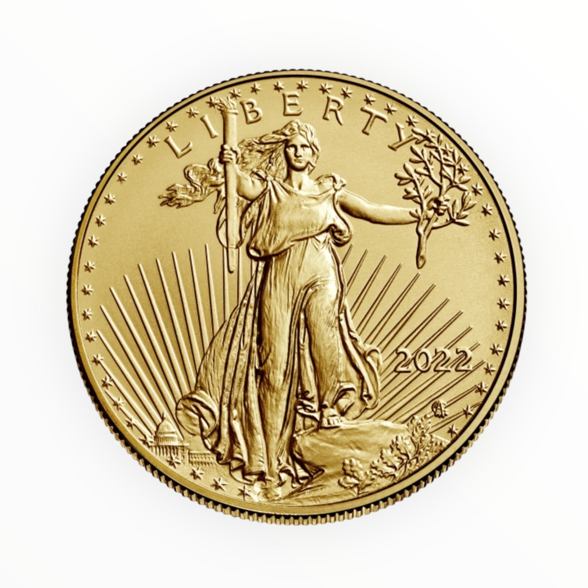 1/2 oz American Gold Eagle (Common Date)