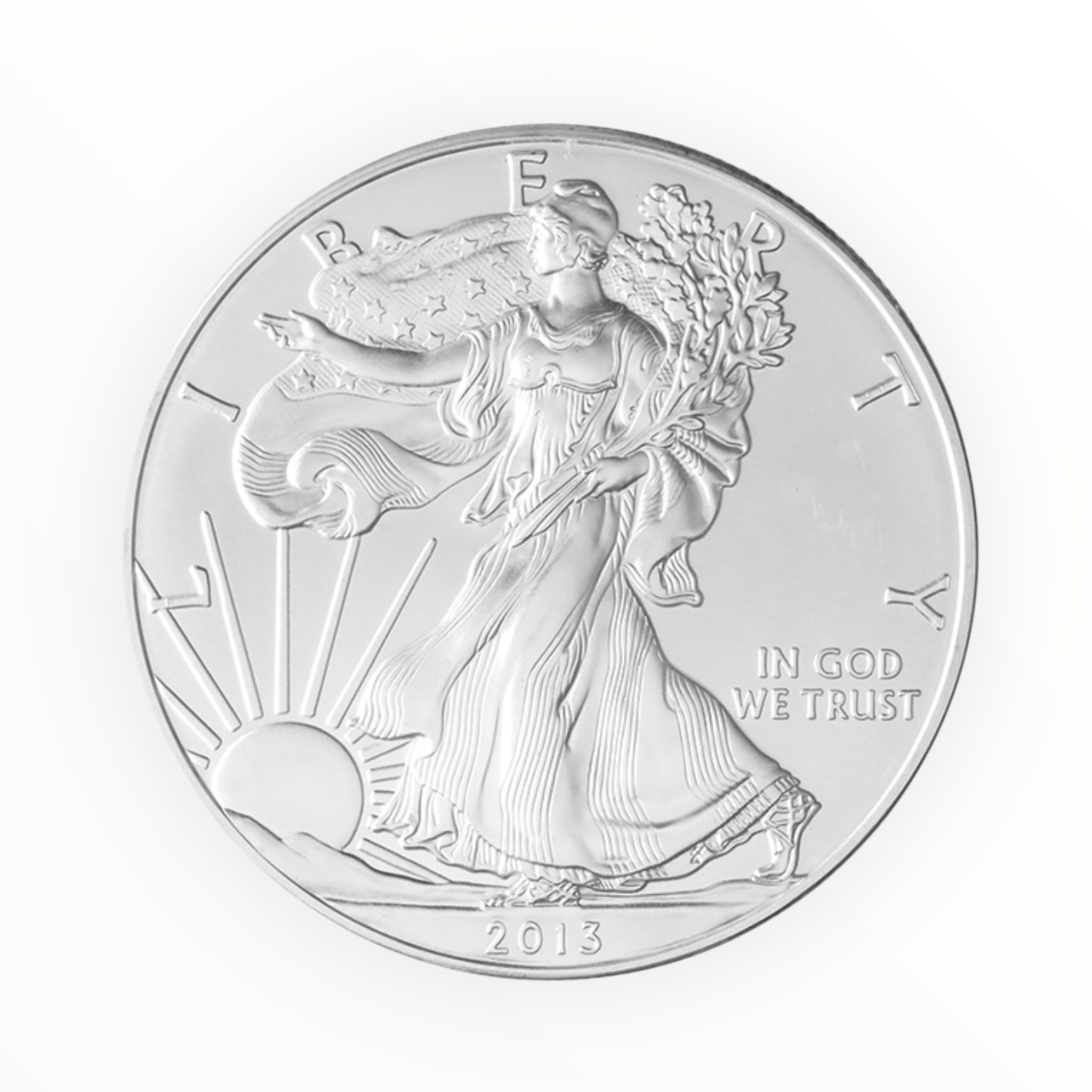 1 oz American Silver Eagle (Common date)
