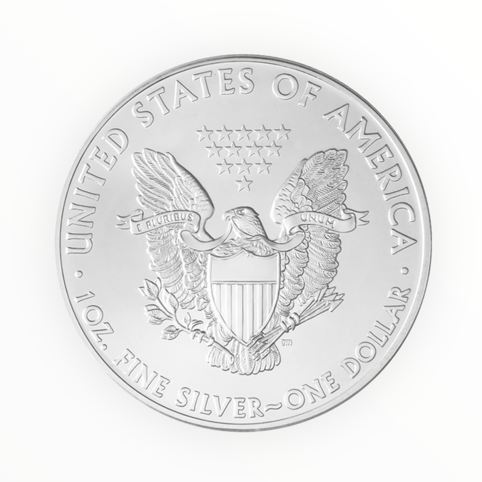 1 oz American Silver Eagle (Common date)