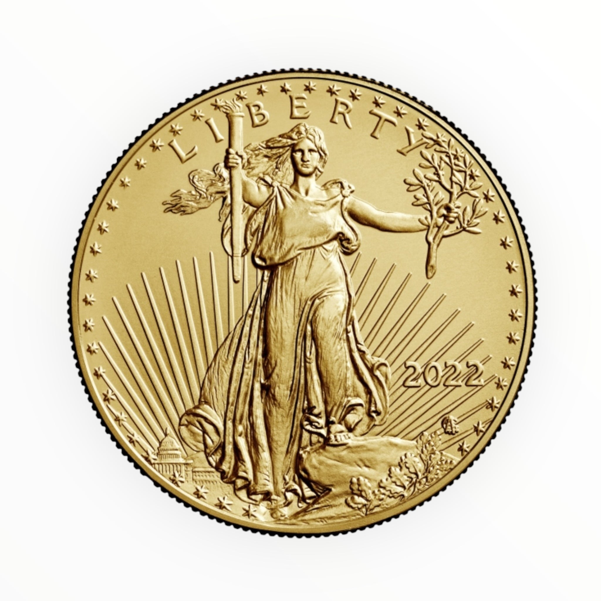 1 oz American Gold Eagle (Common Date)