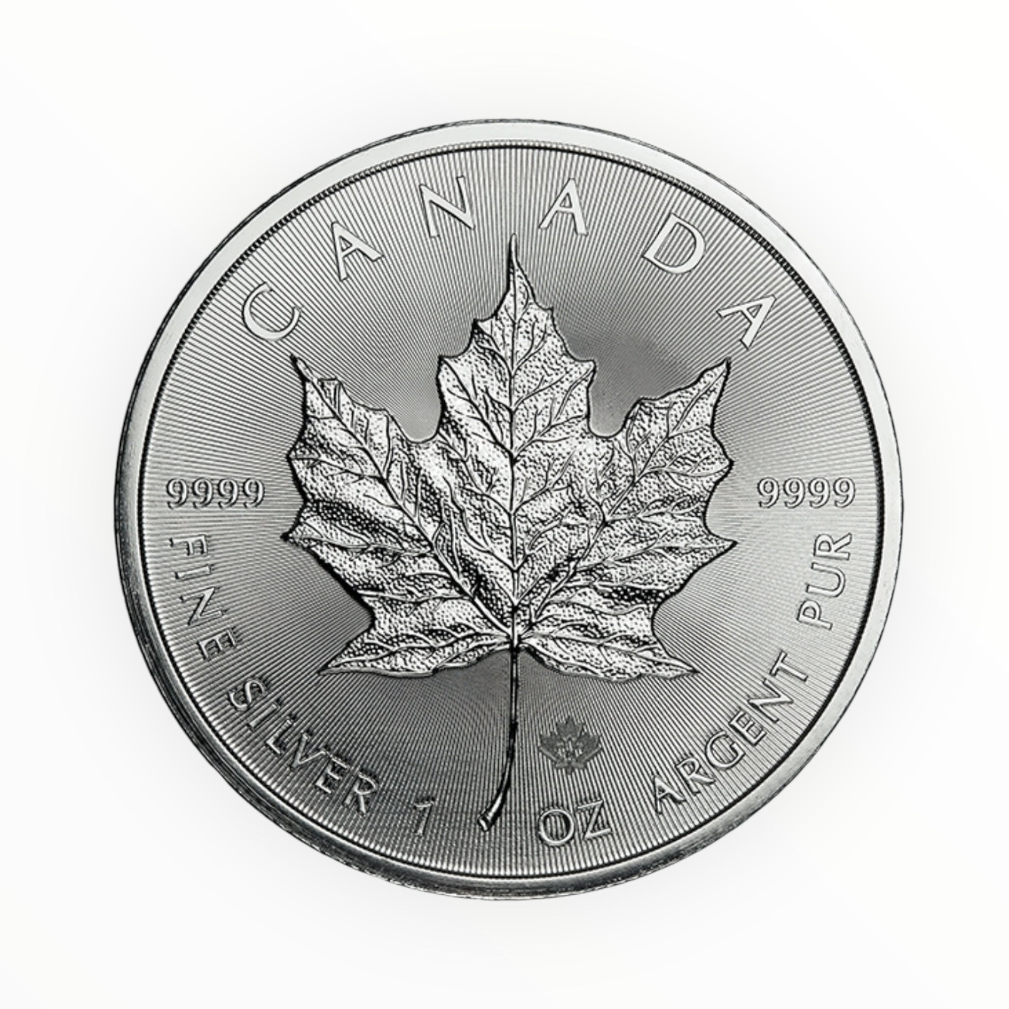 1 oz Canadian Silver Maple Leaf (Common Date)